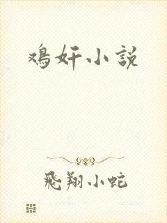 鸡奸小说
