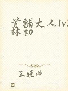 首辅大人1v2林初