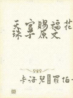 天官赐福花怜塞珠子原文封面