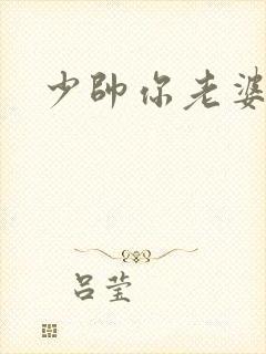 少帅你老婆