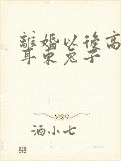 离婚以后高干 耳东兔子