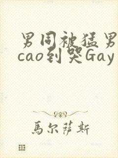 男同被猛男房东cao到哭Gay