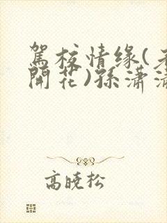 驾校情缘(老树开花)孙潇潇第一次趣笔阁