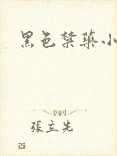 黑色禁药小说