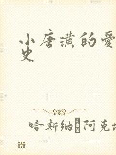 小唐璜的爱情历史