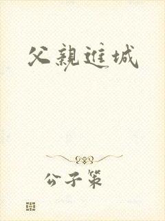 父亲进城