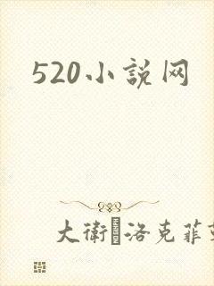 520小说网