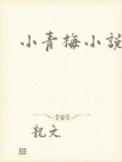 小青梅小说