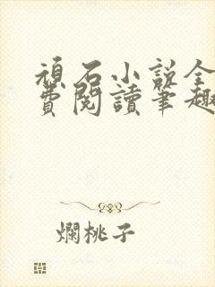 顽石小说全文免费阅读笔趣阁