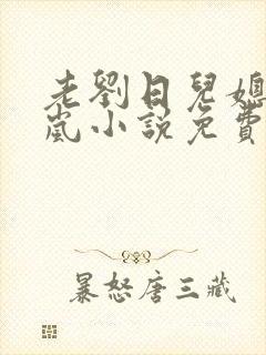 老刘日儿媳妇张岚小说免费阅读