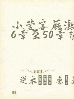 小莹客厅激情46章至50章视