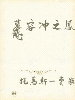 慕容冲之凤凰于飞
