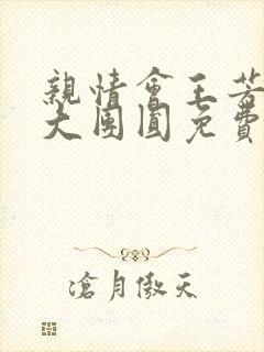 亲情会王芳高敏大团圆免费阅读