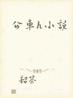 公车h小说封面