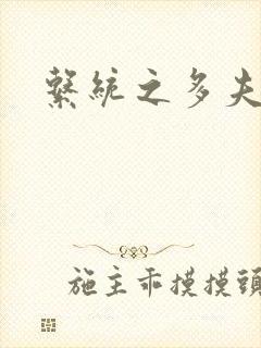 系统之多夫HP封面