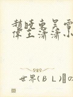 赵晓东吴雪晴郑伟王潇潇小说名字