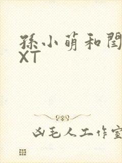 孙小萌和闫辰TXT封面