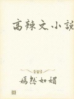 高辣文小说封面