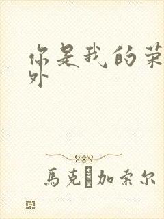 你是我的荣耀番外封面