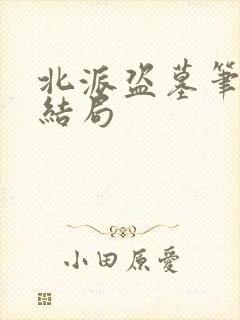 北派盗墓笔记大结局封面
