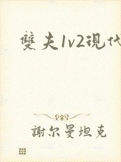 双夫1v2现代