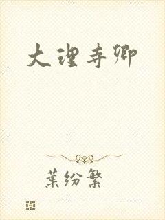 大理寺卿