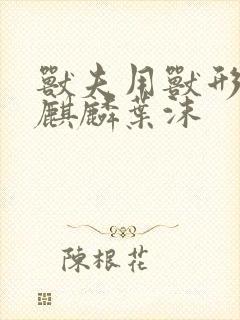 书籍封面