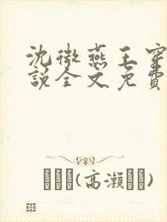 沈微燕王穿越小说全文免费阅读