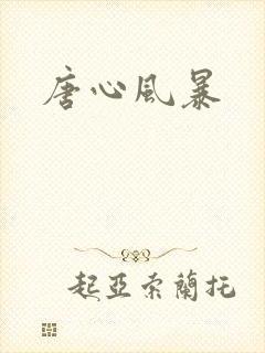 唐心风暴