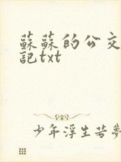 苏苏的公交车日记txt