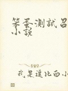 笨蛋测试召唤兽小说