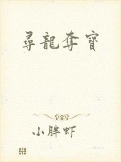 寻龙夺宝