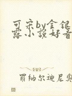 可宋by金银花露小说好看吗封面