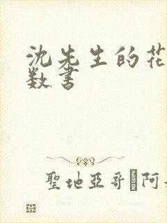 沈先生的花式调数书