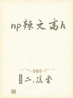 np辣文高h