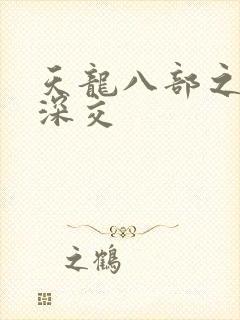 天龙八部之极乐深交封面