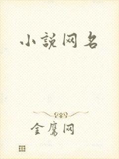小说网名