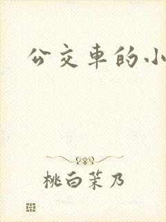 公交车的小说
