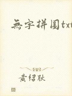 无字拼图txt