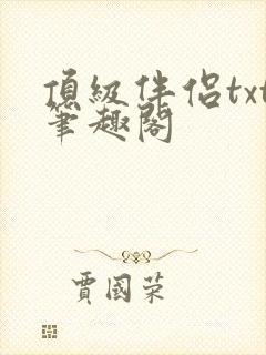 顶级伴侣txt笔趣阁
