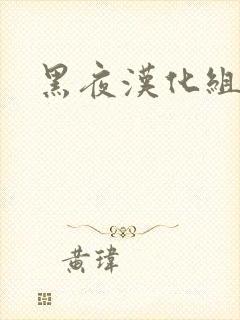 黑夜汉化组