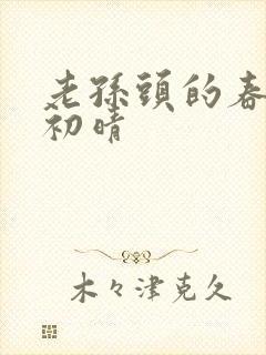 老孙头的春天林初晴