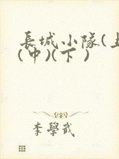 长城小队(上)(中)(下 )