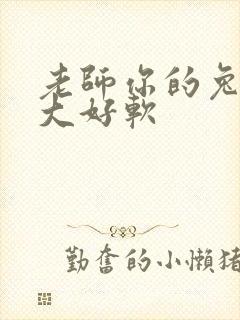 老师你的兔子好大好软