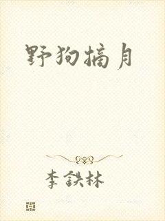 野狗摘月