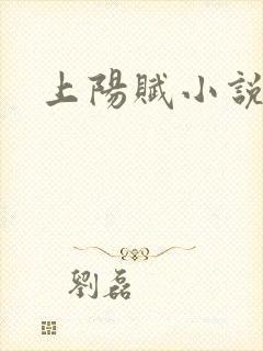 上阳赋小说