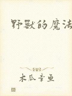 野兽的魔法师