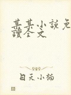 某某小说免费阅读全文