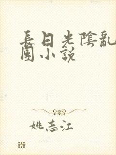 长日光阴乱作一团小说封面
