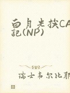 白月光挨CAO记(NP)